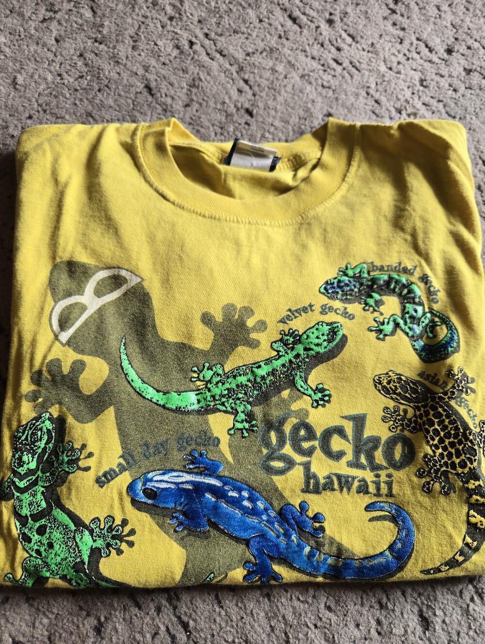 Vintage Gecko Hawaii Tee